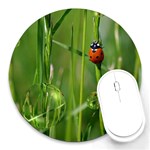 Ladybird 8  Mouse Pad (Round) Front