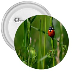 Ladybird 3  Button by Siebenhuehner