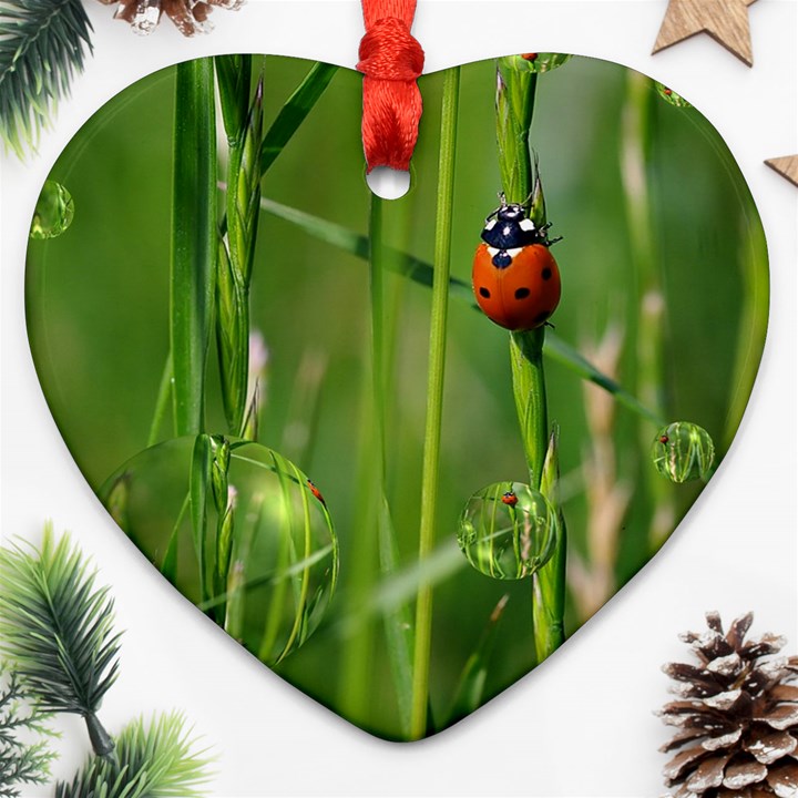 Ladybird Heart Ornament