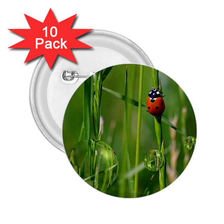 Ladybird 2.25  Button (10 pack)