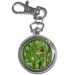 Ladybird Key Chain & Watch by Siebenhuehner