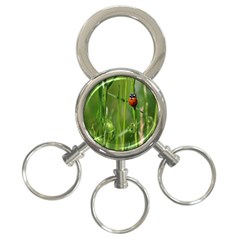 Ladybird 3-ring Key Chain