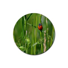 Ladybird Drink Coaster (round) by Siebenhuehner