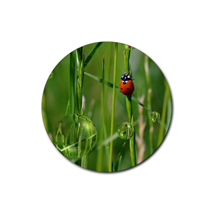 Ladybird Drink Coaster (Round)