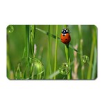 Ladybird Magnet (Rectangular) Front