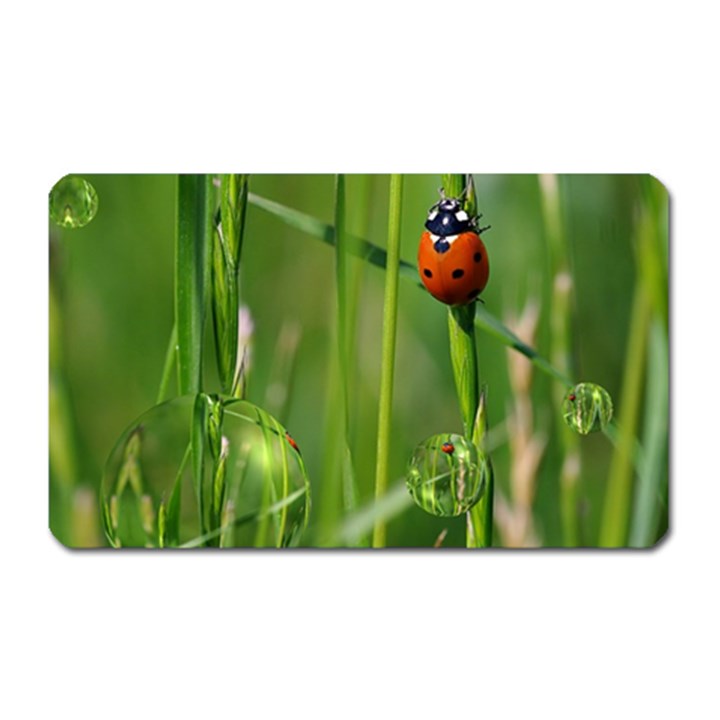 Ladybird Magnet (Rectangular)