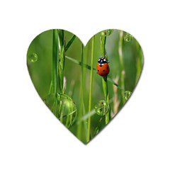 Ladybird Magnet (heart) by Siebenhuehner