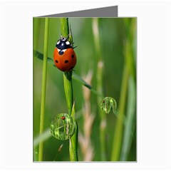 Ladybird Greeting Card by Siebenhuehner