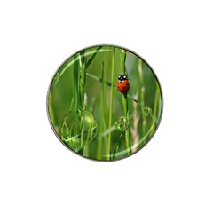 Ladybird Golf Ball Marker 4 Pack (for Hat Clip) by Siebenhuehner