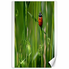 Ladybird Canvas 20  X 30  (unframed) by Siebenhuehner