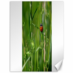 Ladybird Canvas 36  X 48  (unframed) by Siebenhuehner