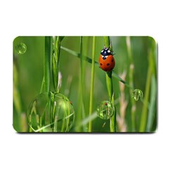 Ladybird Small Door Mat by Siebenhuehner