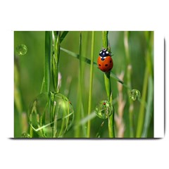 Ladybird Large Door Mat by Siebenhuehner