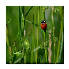 Ladybird Face Towel by Siebenhuehner