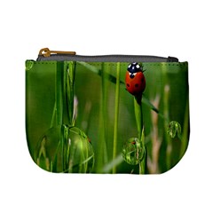 Ladybird Coin Change Purse by Siebenhuehner