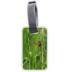 Ladybird Luggage Tag (one Side) by Siebenhuehner