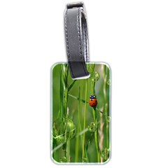 Ladybird Luggage Tag (two Sides) by Siebenhuehner