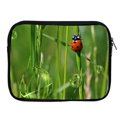 Ladybird Apple Ipad 2/3/4 Zipper Case by Siebenhuehner