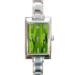 Grass Rectangular Italian Charm Watch by Siebenhuehner