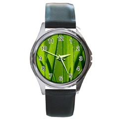 Grass Round Metal Watch (silver Rim)