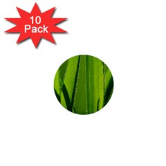 Grass 1  Mini Button (10 Pack) by Siebenhuehner