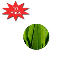 Grass 1  Mini Button Magnet (10 Pack) by Siebenhuehner