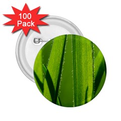 Grass 2 25  Button (100 Pack)