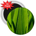 Grass 3  Button Magnet (10 pack) Front