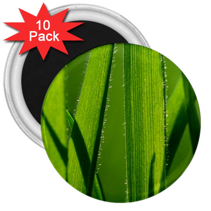 Grass 3  Button Magnet (10 pack)