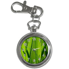 Grass Key Chain & Watch by Siebenhuehner