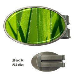 Grass Money Clip (oval)