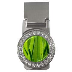 Grass Money Clip (cz) by Siebenhuehner