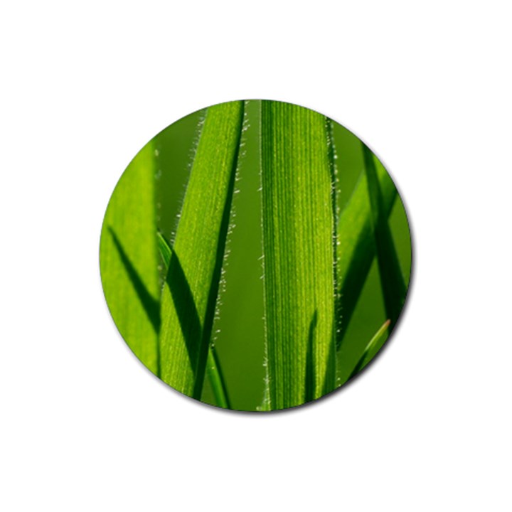 Grass Drink Coasters 4 Pack (Round)