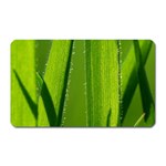 Grass Magnet (Rectangular) Front