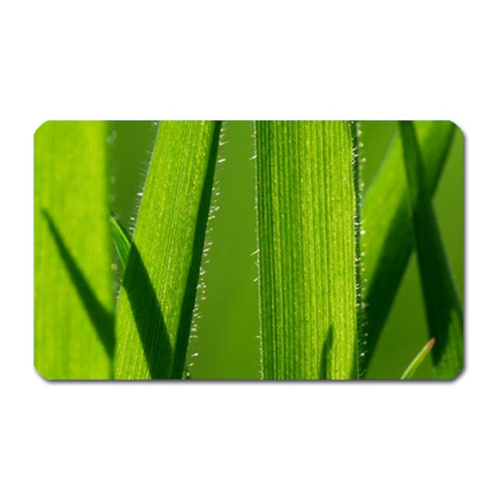 Grass Magnet (Rectangular)