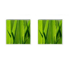 Grass Cufflinks (square)