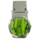 Grass Money Clip with Watch Front