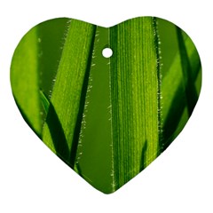 Grass Heart Ornament (two Sides)