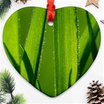 Grass Heart Ornament (Two Sides) Front