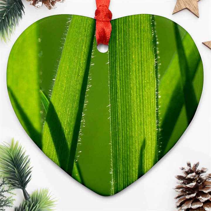 Grass Heart Ornament (Two Sides)