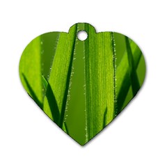 Grass Dog Tag Heart (one Sided) 