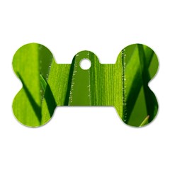 Grass Dog Tag Bone (two Sided)