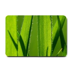 Grass Small Door Mat by Siebenhuehner