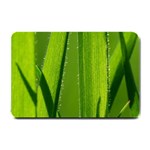 Grass Small Door Mat 24 x16  Door Mat