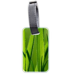 Grass Luggage Tag (two Sides)