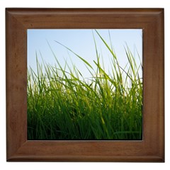 Grass Framed Ceramic Tile