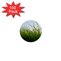 Grass 1  Mini Button (100 Pack)