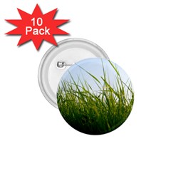 Grass 1 75  Button (10 Pack)