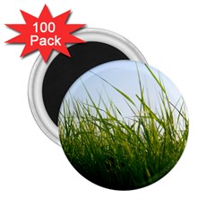 Grass 2 25  Button Magnet (100 Pack) by Siebenhuehner