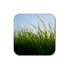 Grass Drink Coaster (square) by Siebenhuehner